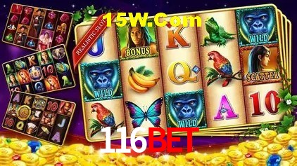 API Integration 116Bet